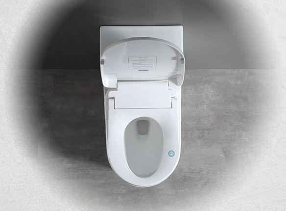 Japanese Smart Toilet Seats