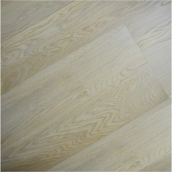 Zodiac-_0001_CAPRICORN Zodiac-_0001_CAPRICORN