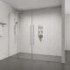 Alpine Frameless Double Pivot Door