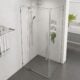 Alpine Frameless Pivot Door and Return